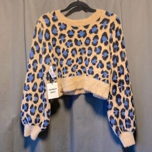 NWT Aritzia Sunday Best Kitten Sweater